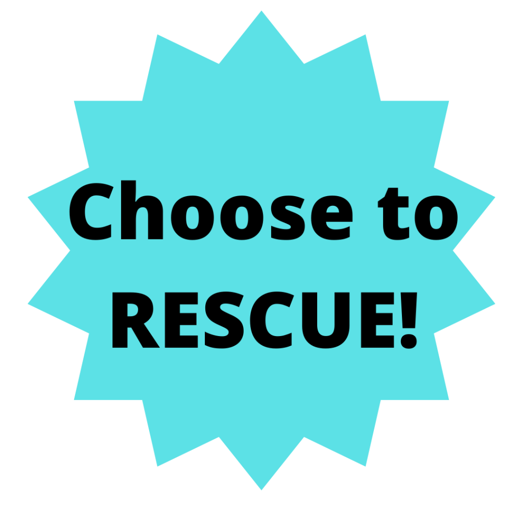 choose to rescue a dog