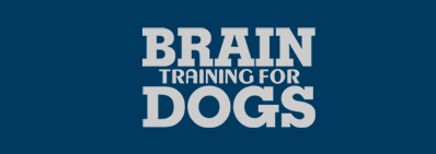 virtual dog training