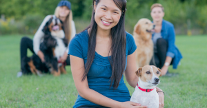 online affordable dog training virtual courses