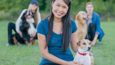online affordable dog training virtual courses