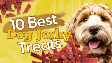 10 Best Dog Jerky Treats