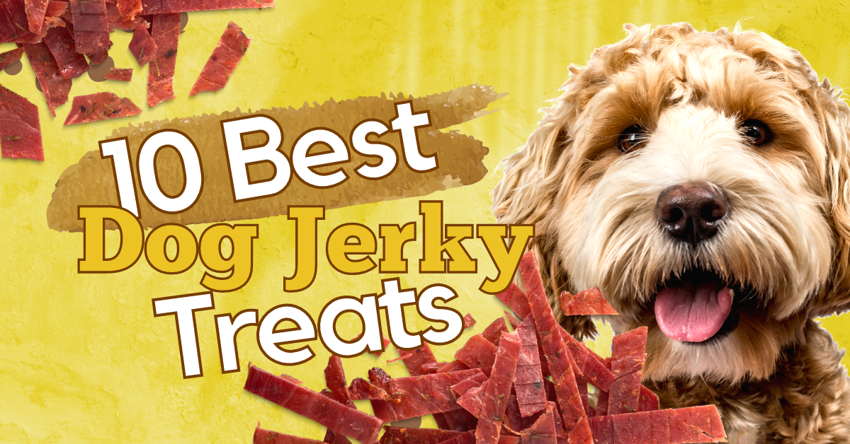 10 Best Dog Jerky Treats