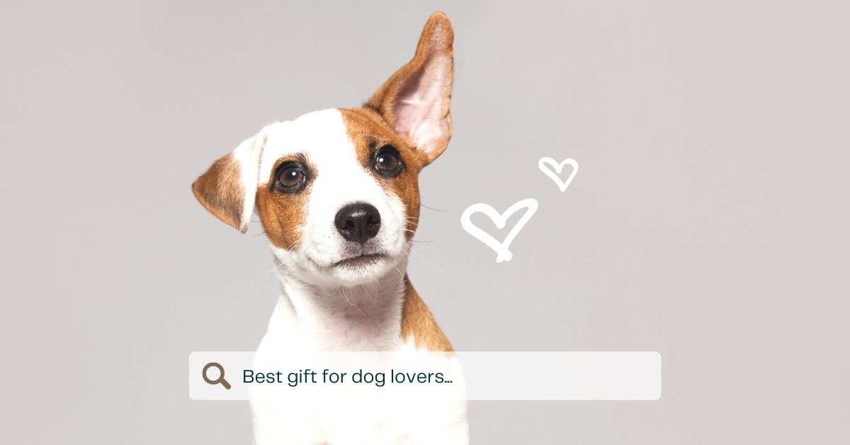 Best Gifts for Dog Lovers - Asobubottle.com, Amazon, & Etsy
