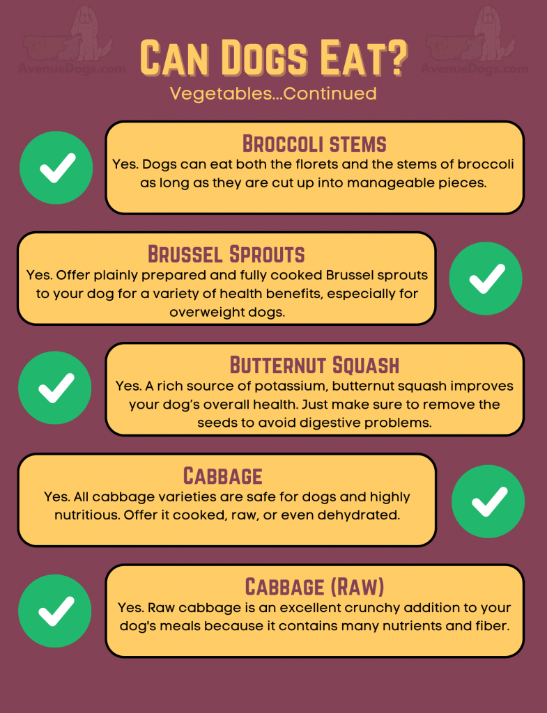can dogs eat broccoli stems, yes - brussel sprouts, yes - butternut squash, yes - cabbage, yes - cabbage raw, yes