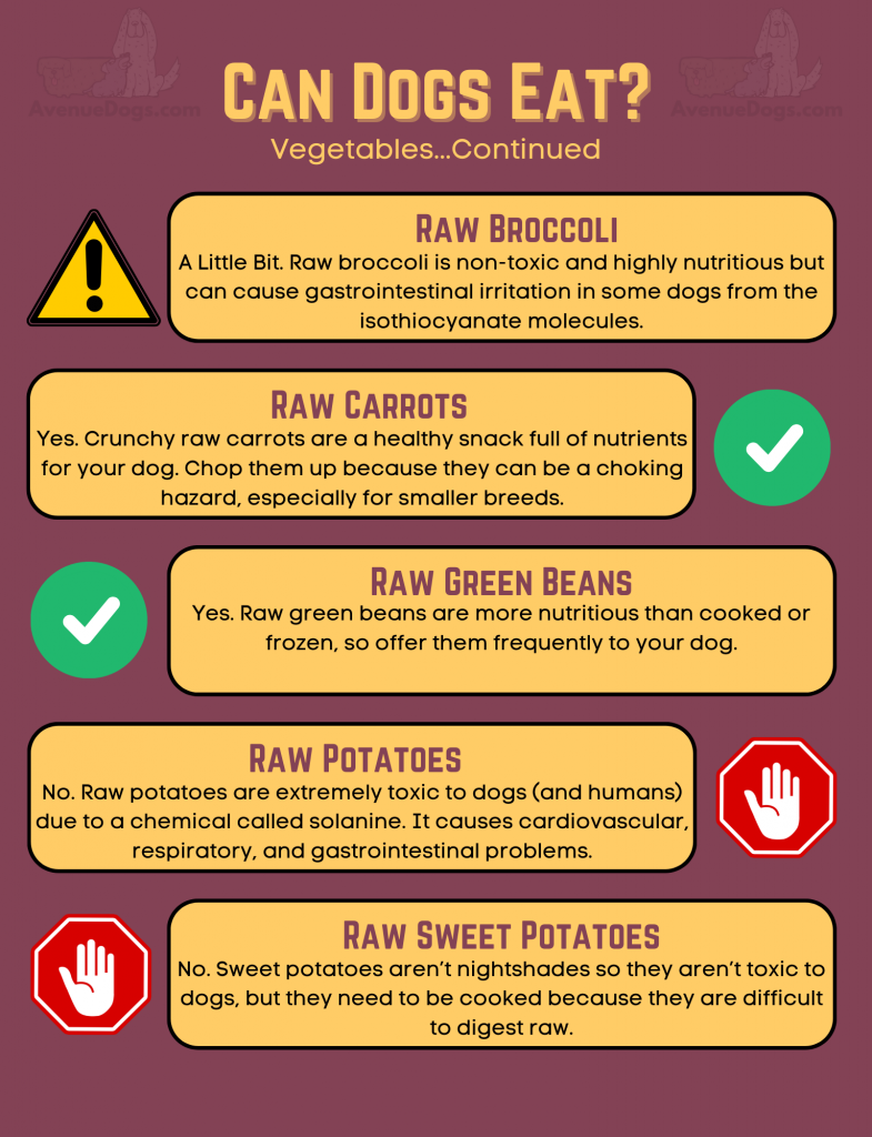 can dogs eat raw broccoli, a little bit - raw carrots, yes - raw green beans, yes - raw potatoes, no - raw sweet potatoes, no