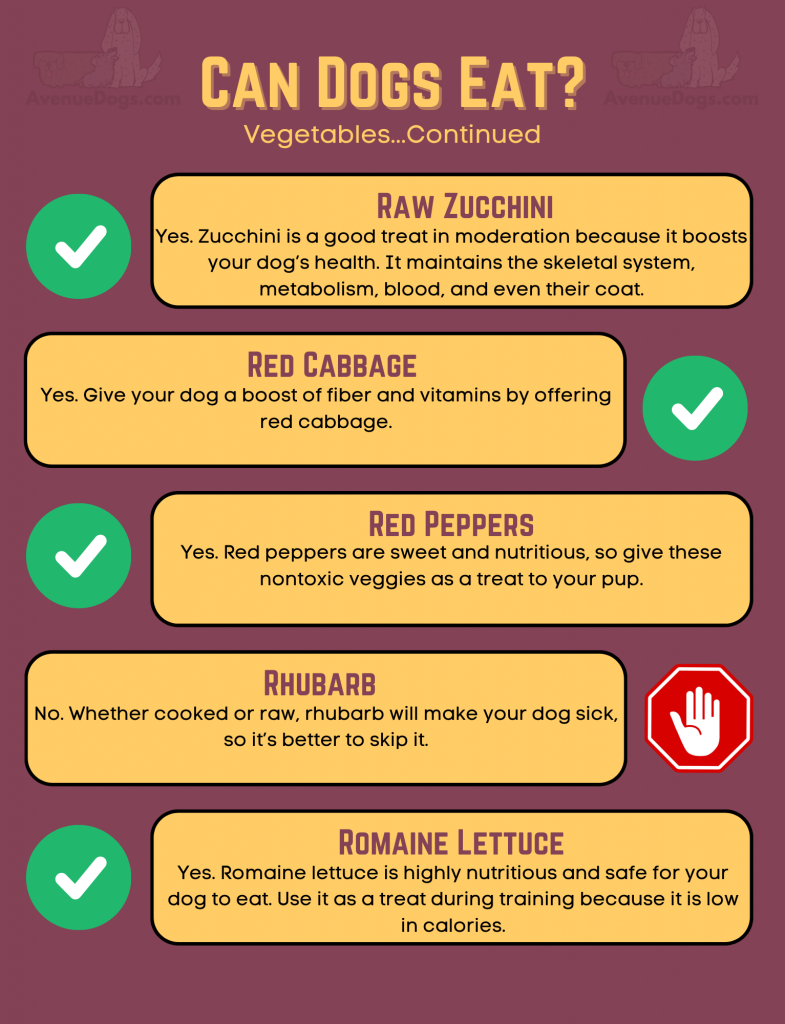 can dogs eat raw zucchini, yes - red cabbage, yes - red peppers, yes - rhubarb, no - romaine lettuce, yes