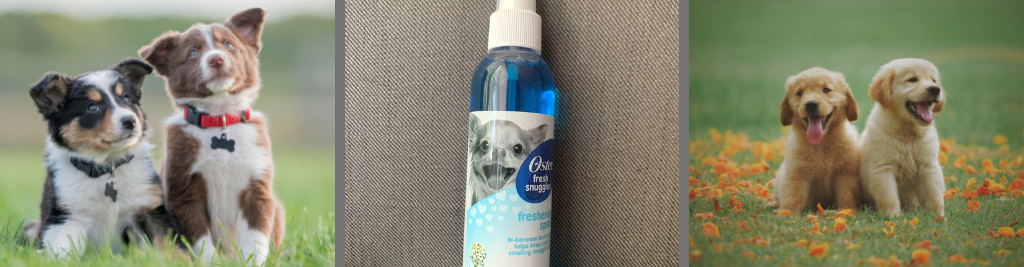 Best Dog Cologne Spray - Oster Baby Powder Cologne Spray for Dogs