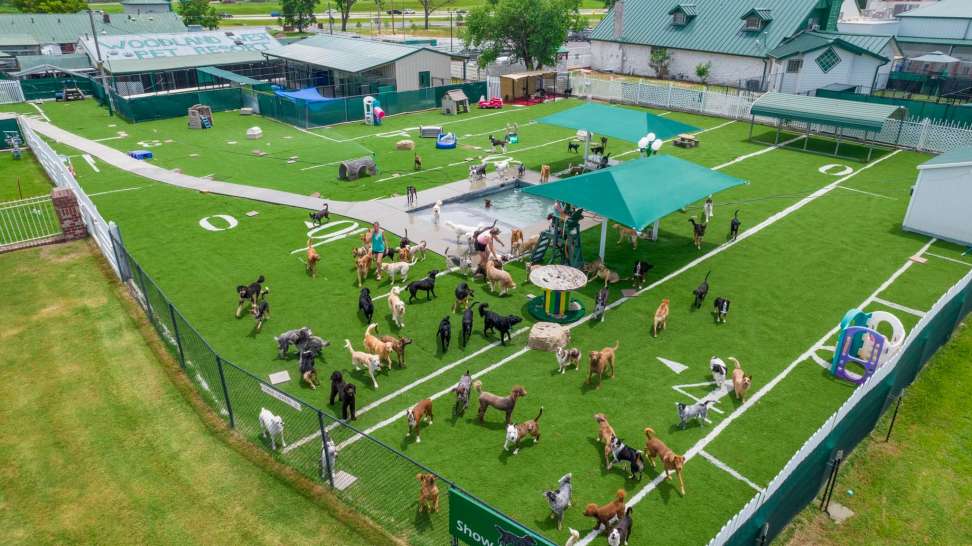 Woodland West Pet Resort Review Best Pet Resort in Tulsa Avenue Dogs