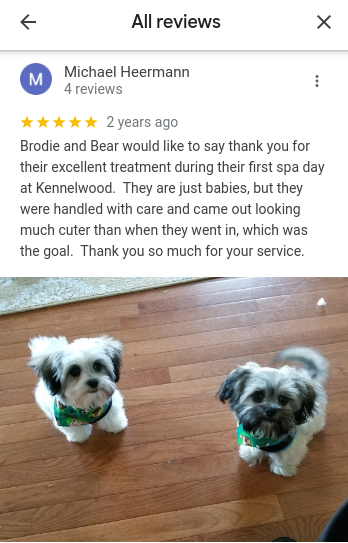 kennelwood pet resort reviews - Brodie and Bear would like to say thank you for their excellent treatment during their first spa day at Kennelwood.