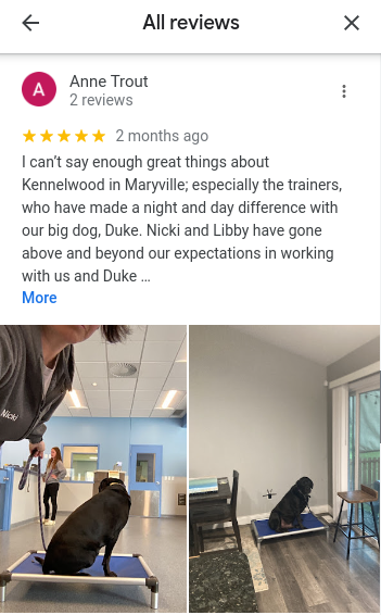 kennelwood pet resort reviews - I can’t say enough great things about Kennelwood in Maryville; especially the trainers, who have made a night and day difference with our big dog, Duke.
