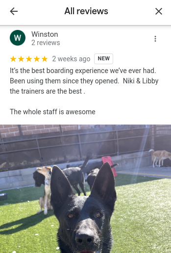 kennelwood pet resort reviews - It’s the best boarding experience we’ve ever had. Been using them since they opened. Niki & Libby the trainers are the best .