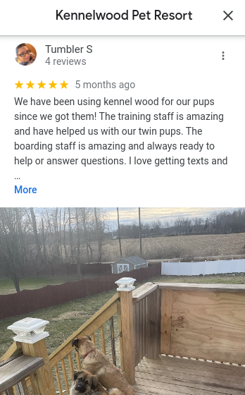 kennelwood pet resort reviews - We have been using kennel wood for our pups since we got them. The training staff is amazing and have helped us with our twin pups.