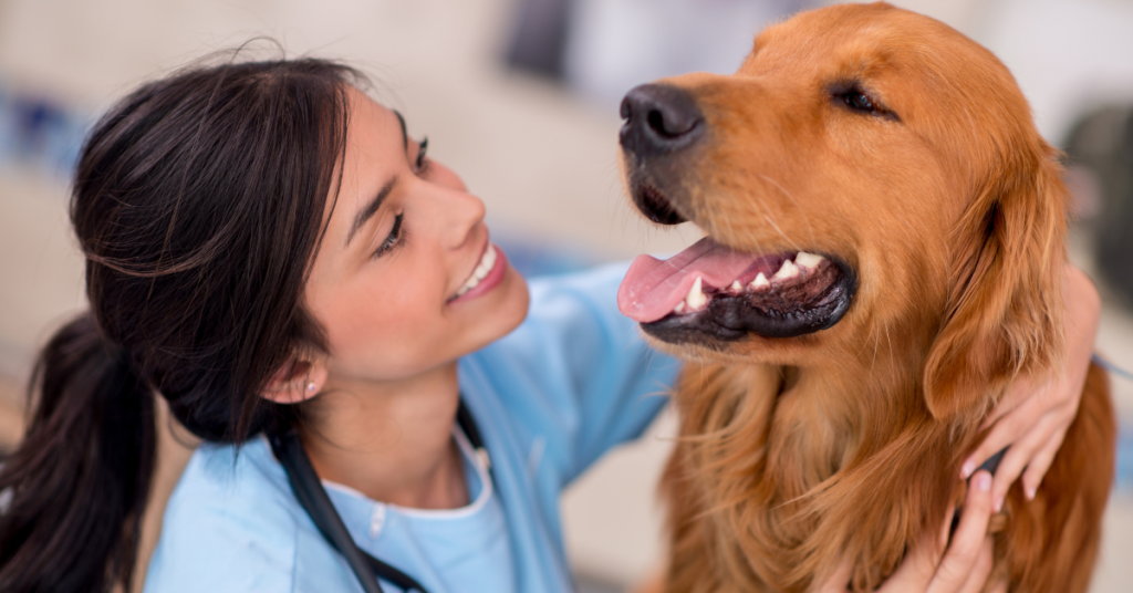 Why is my Dog Dry Heaving? Our Vet Answers Your Questions Avenue Dogs
