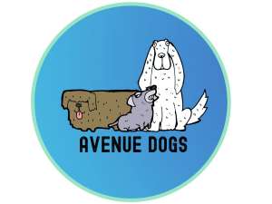 avenue dogs circle