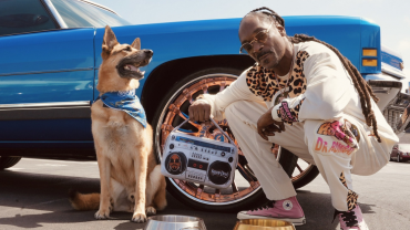 Snoop Doggie Dogg Pet Accessories on Amazon