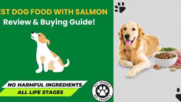 We review the Best Dog Food with Salmon