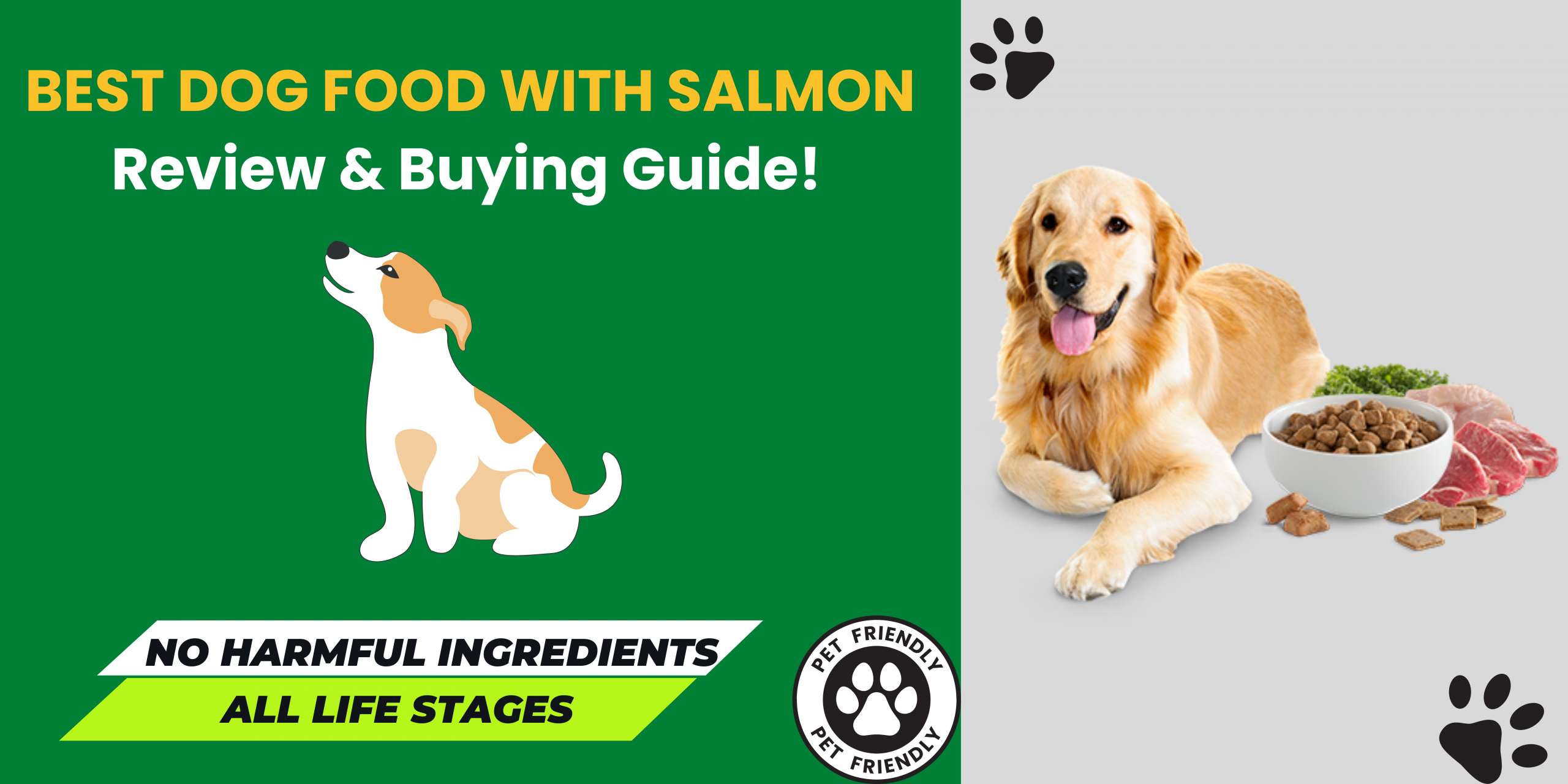 We review the Best Dog Food with Salmon