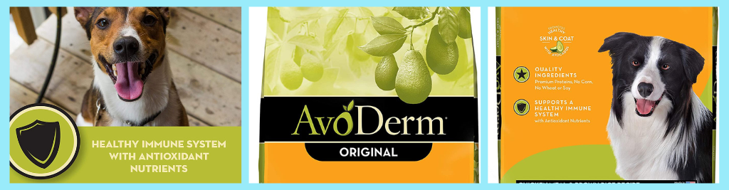 AvoDerm Natural Dry & Wet Dog Food