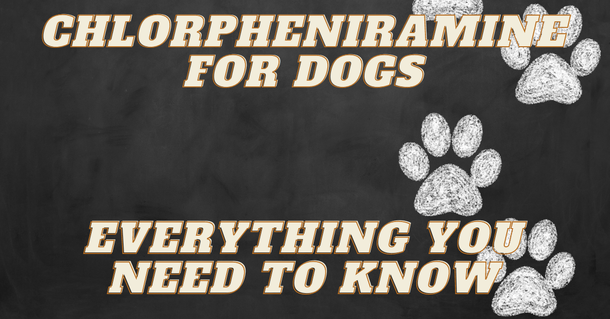 Chlorpheniramine for Dogs