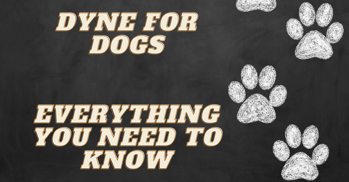 Dyne for Dogs