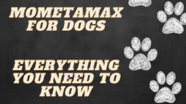 Mometamax for Dogs