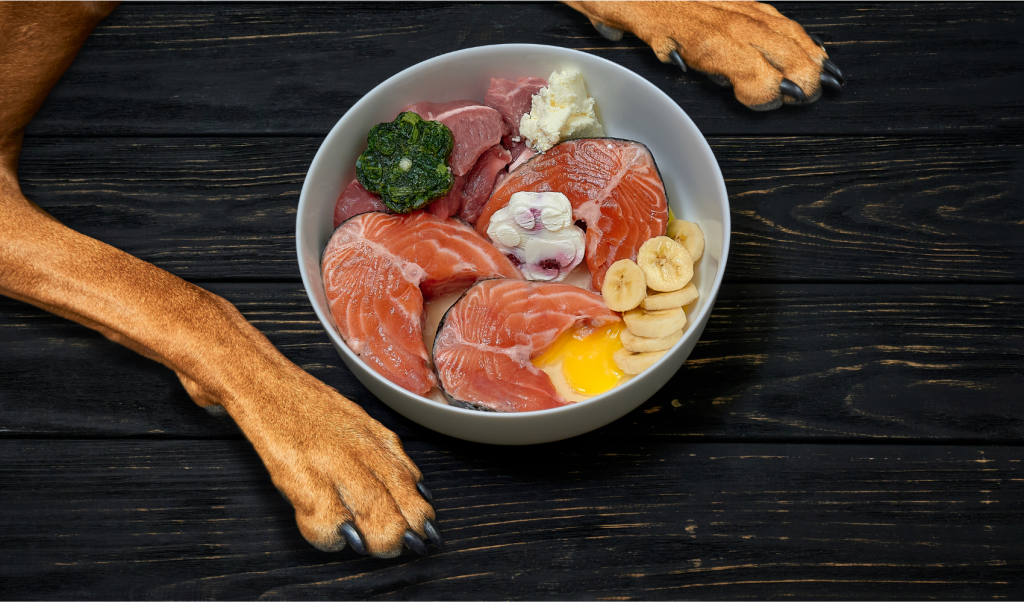 Salmon dog food - dog eating salmon out of bowl