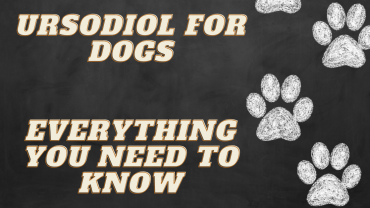 Ursodiol for Dogs