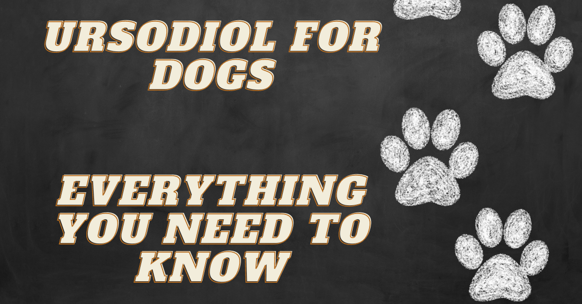 Ursodiol for Dogs