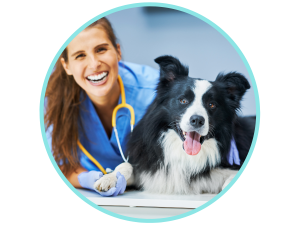 Omeprazole for Dogs
