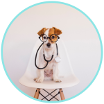 Ursodiol for dogs