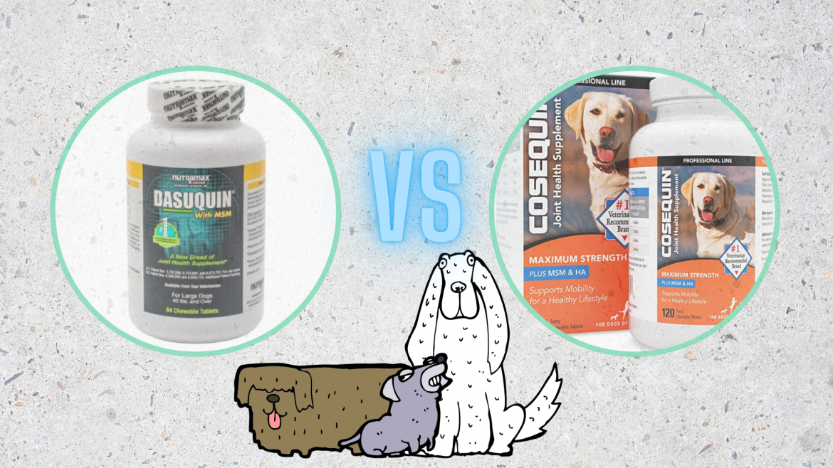 Cosequin for Dogs VetApproved to Optimize Pup Joint Health Avenue Dogs