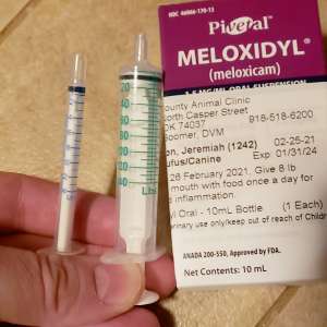 Meloxidyl for dogs dosage
