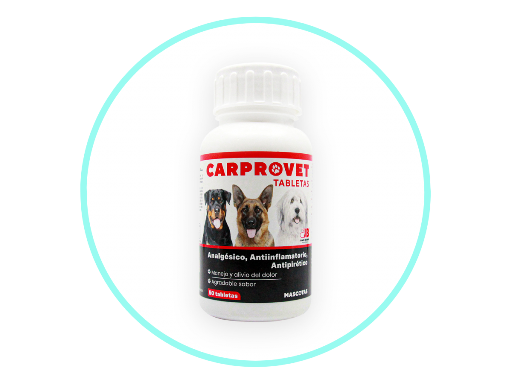 Is Ibuprofen Effective For Treating Dog Osteoarthritis Reference: Carprovet For Dogs Vet Approved For Osteoarthritis Pain Relief
