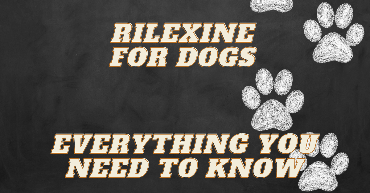 Rilexine for dogs