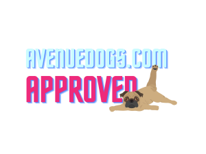 What is Carprovet for Dogs