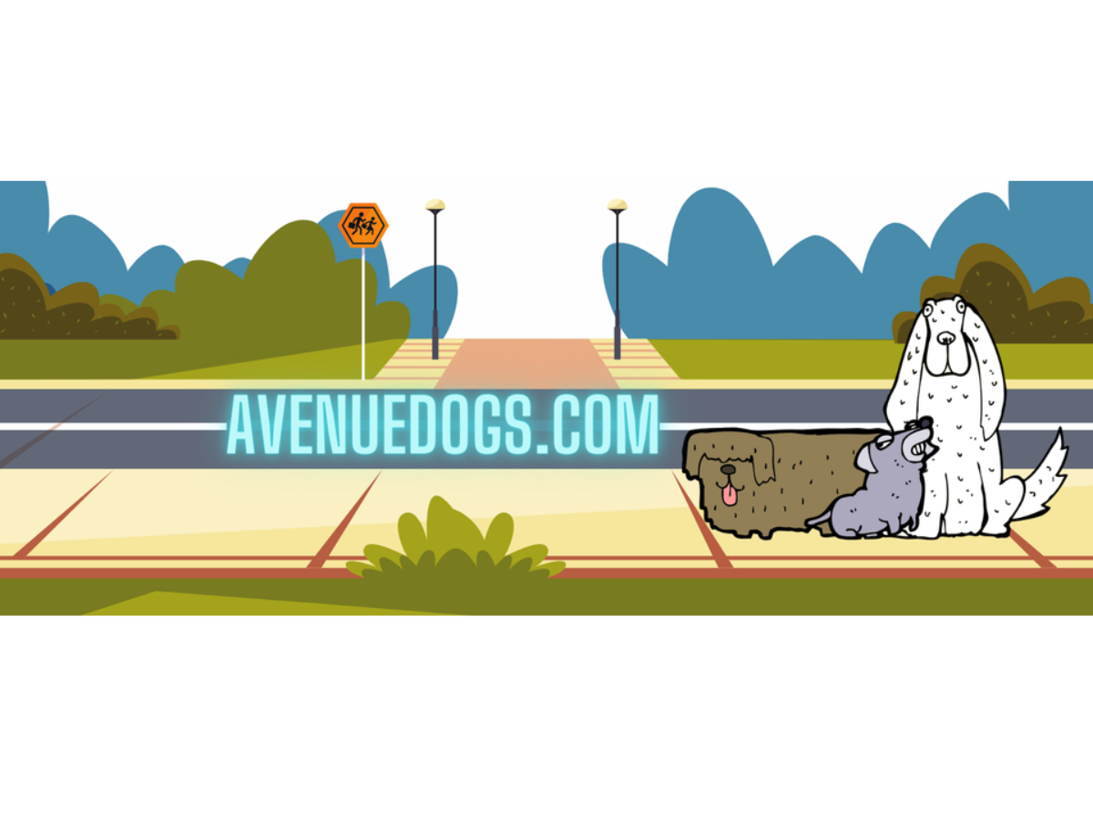 Enalapril for Dogs VetApproved for Heart Health & Blood Flow Avenue