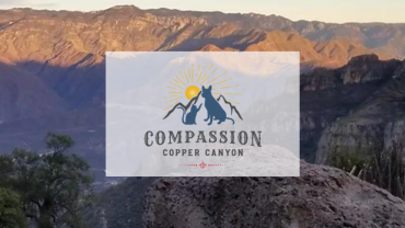 Compassion Cooper Canyon
