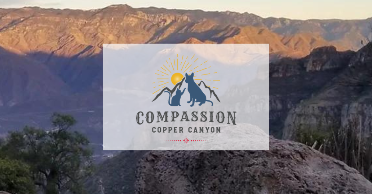 Compassion Cooper Canyon