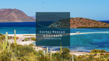 Cortez Rescue Outreach
