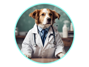Clindamycin for dogs
