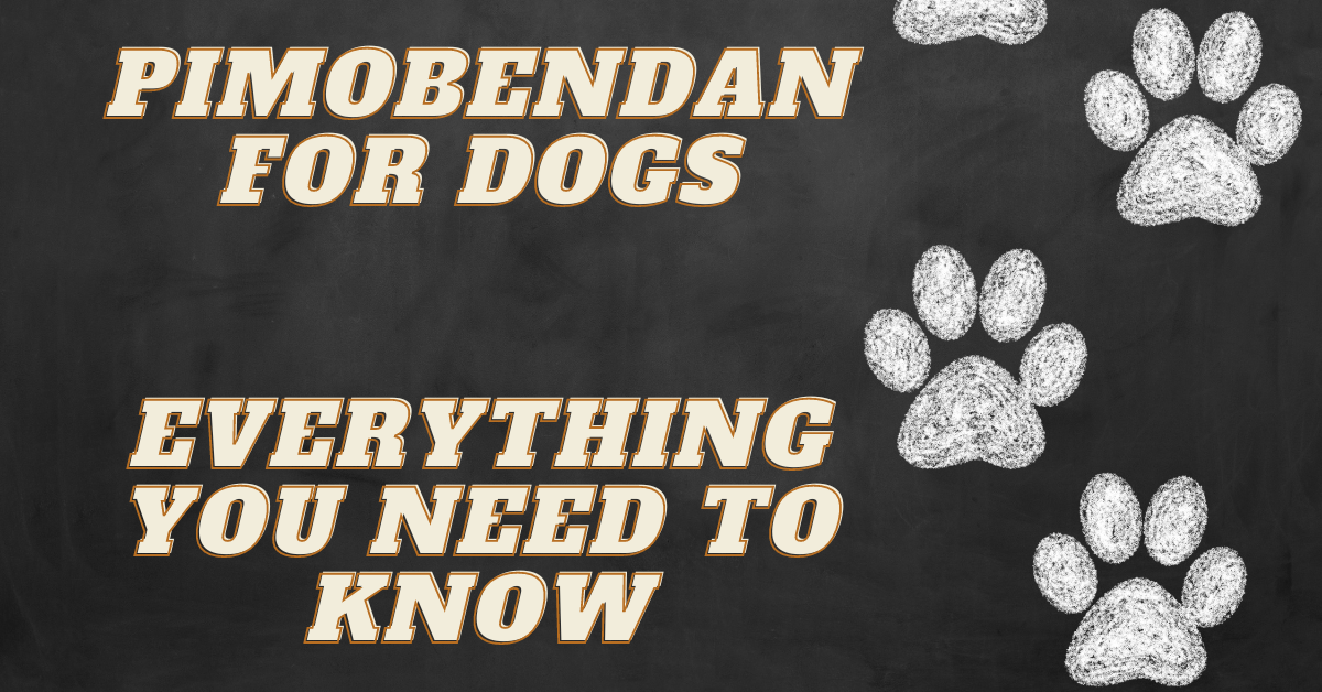 Pimobendan for Dogs