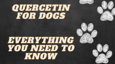 Quercetin for dogs